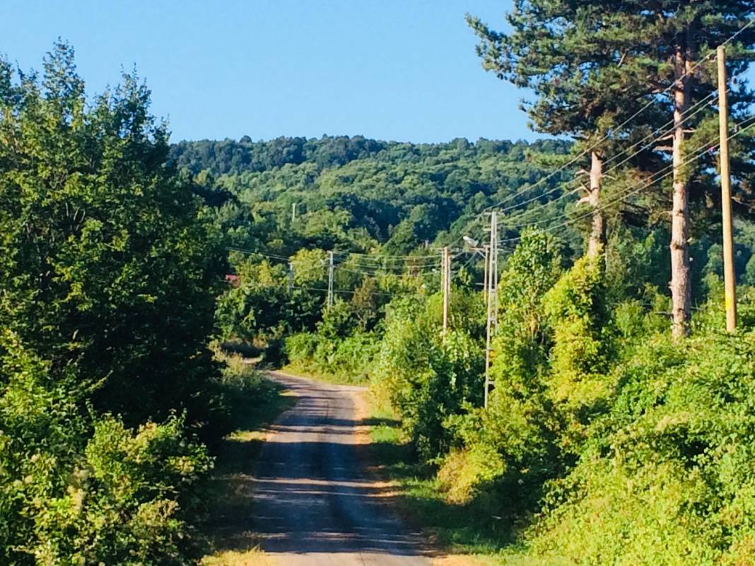 Ayancık Abdulkadirköy Köyü Resimleri 22