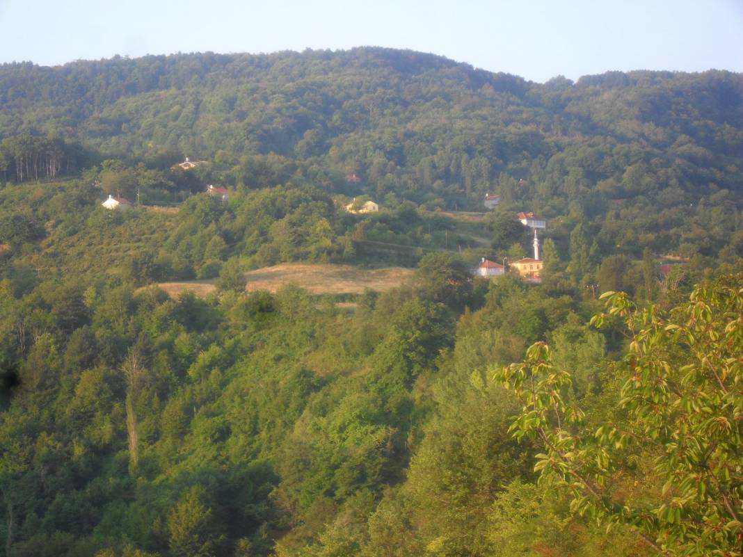 Ayancık Abdulkadirköy Köyü Resimleri 23