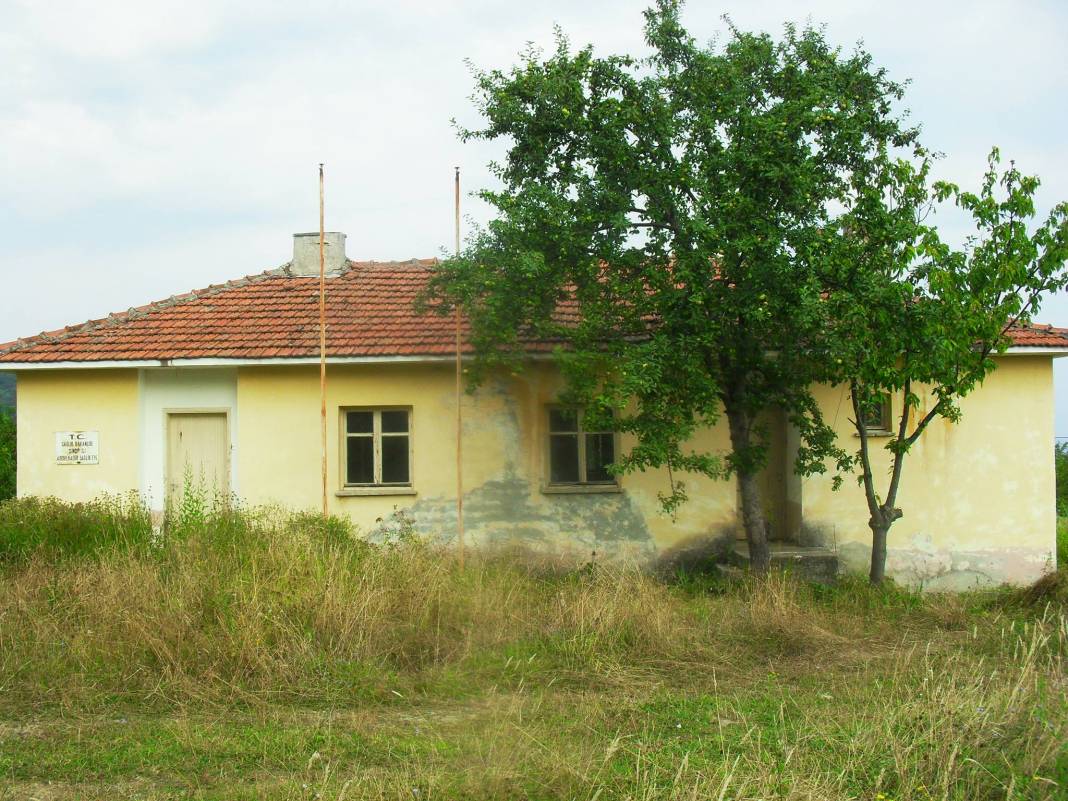 Ayancık Abdulkadirköy Köyü Resimleri 24