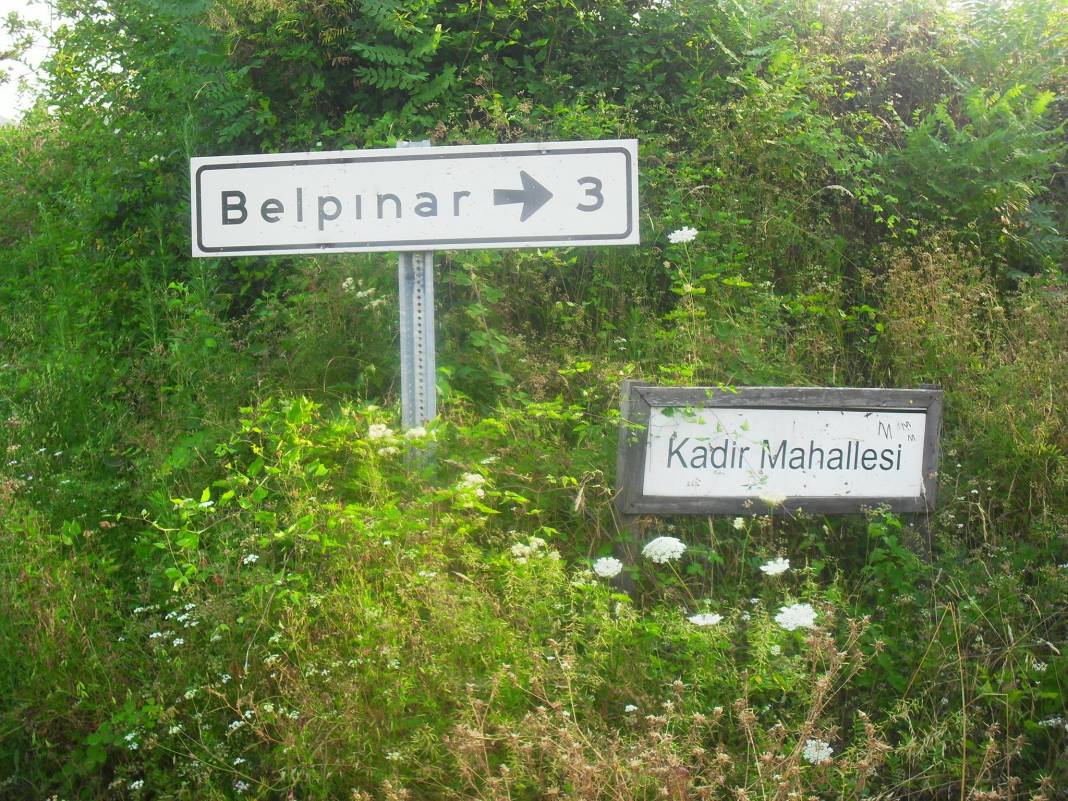 Ayancık Abdulkadirköy Köyü Resimleri 26