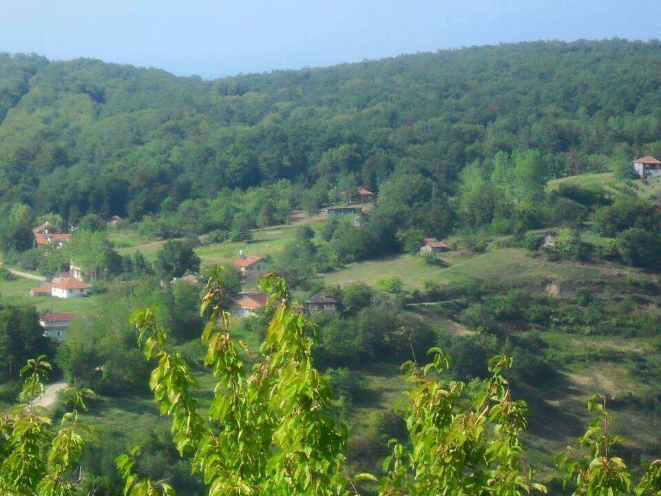 Ayancık Abdulkadirköy Köyü Resimleri 6