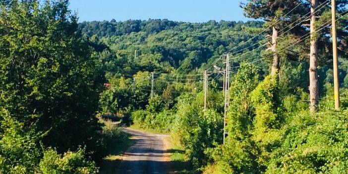Ayancık Abdulkadirköy Köyü Resimleri