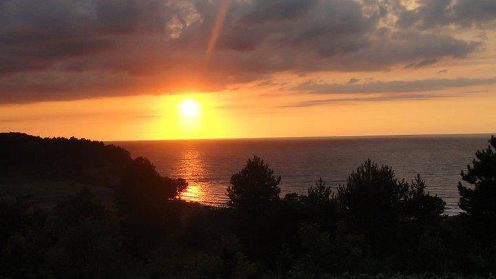 Ayancık Ağaçlı Köyü Resimleri 2