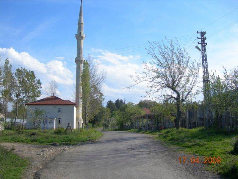 Ayancık Ağaçlı Köyü Resimleri 3