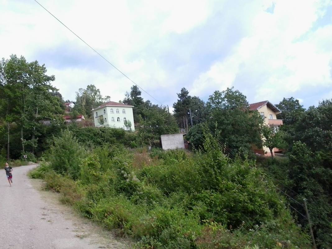 Ayancık Akçakese Köyü Resimleri 2