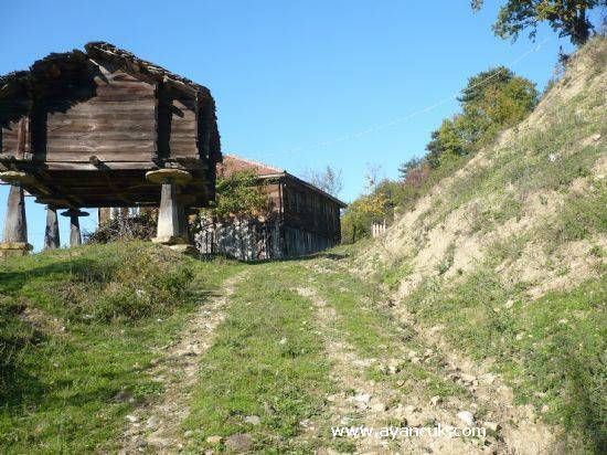 Ayancık Akçakese Köyü Resimleri 3