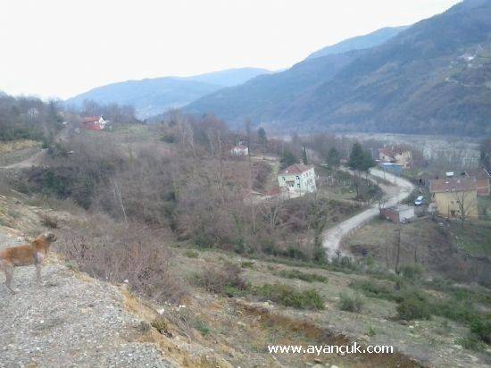 Ayancık Akçakese Köyü Resimleri 4