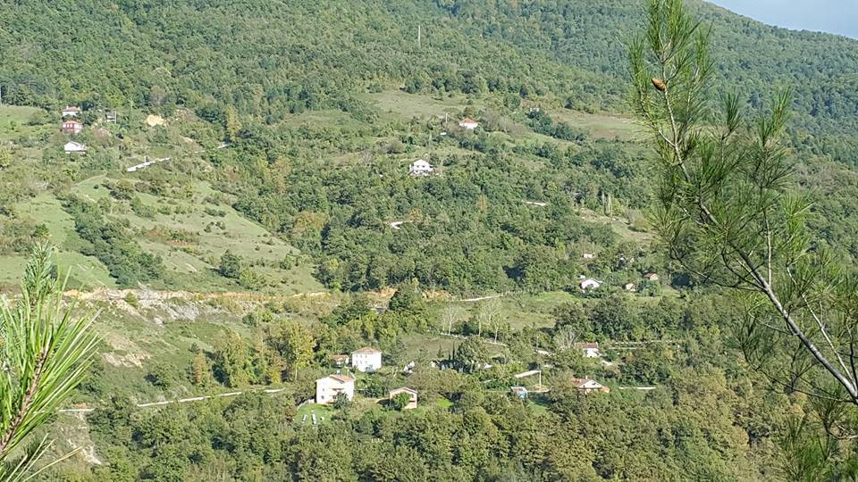 Ayancık Akçakese Köyü Resimleri 6