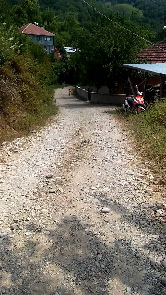 Ayancık Akçakese Köyü Resimleri 8