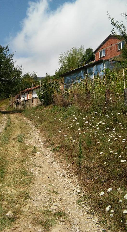 Ayancık Akçakese Köyü Resimleri 9