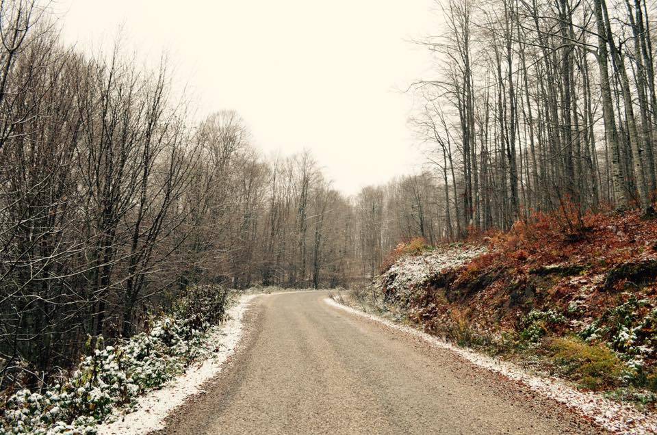 Ayancık Akören Köyü Resimleri 11