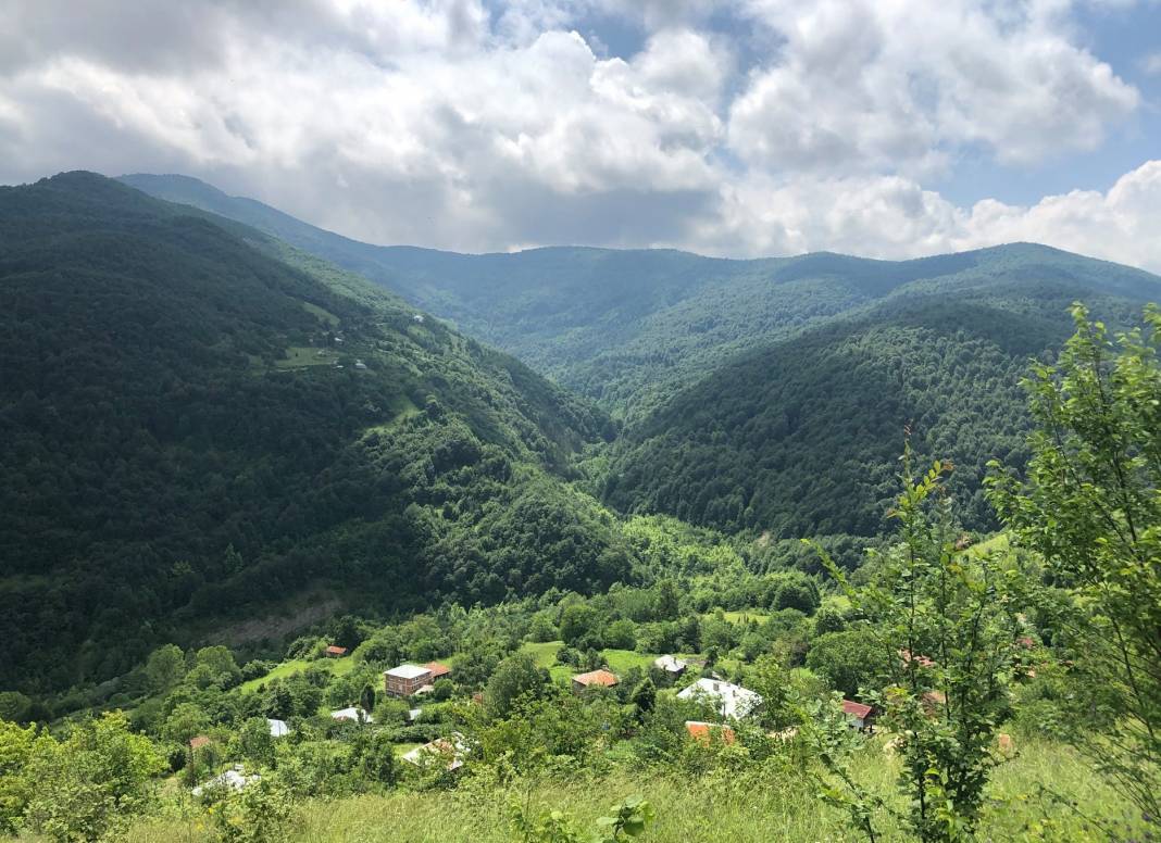 Ayancık Akören Köyü Resimleri 14