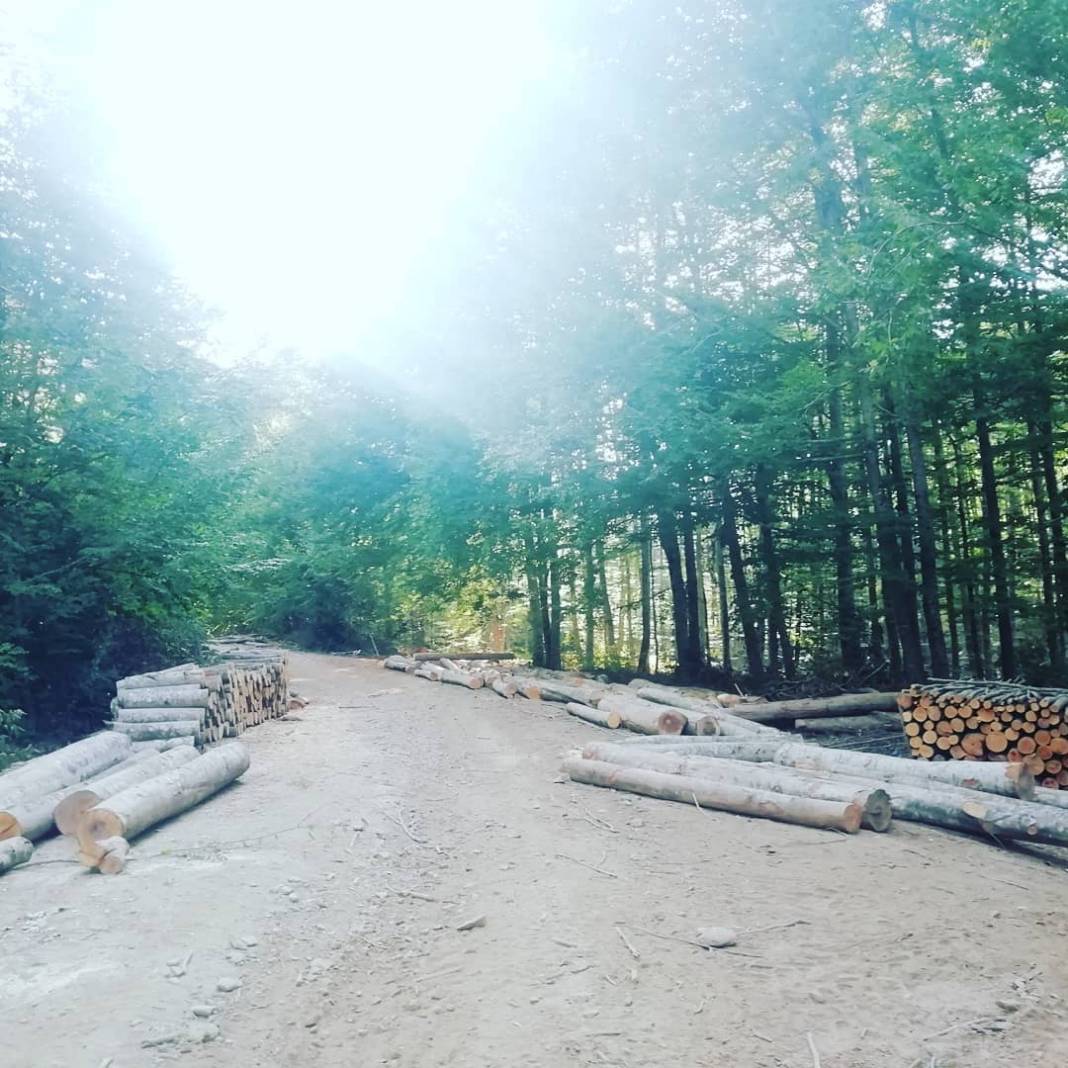 Ayancık Akören Köyü Resimleri 15