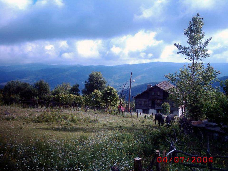 Ayancık Armutluyazı Köyü Resimleri 1