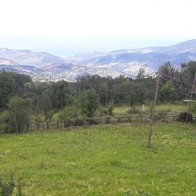 Ayancık Armutluyazı Köyü Resimleri 12