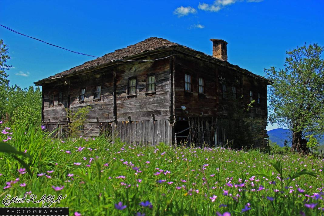 Ayancık Armutluyazı Köyü Resimleri 2