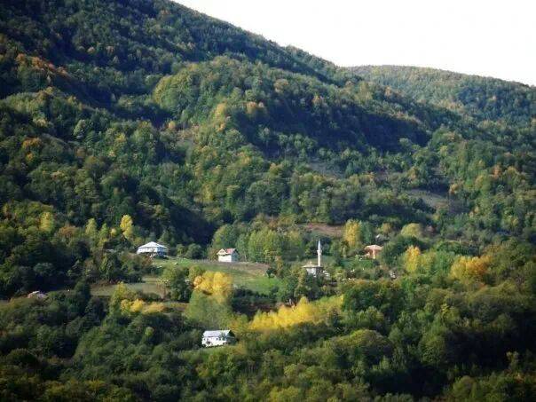 Ayancık Armutluyazı Köyü Resimleri 3