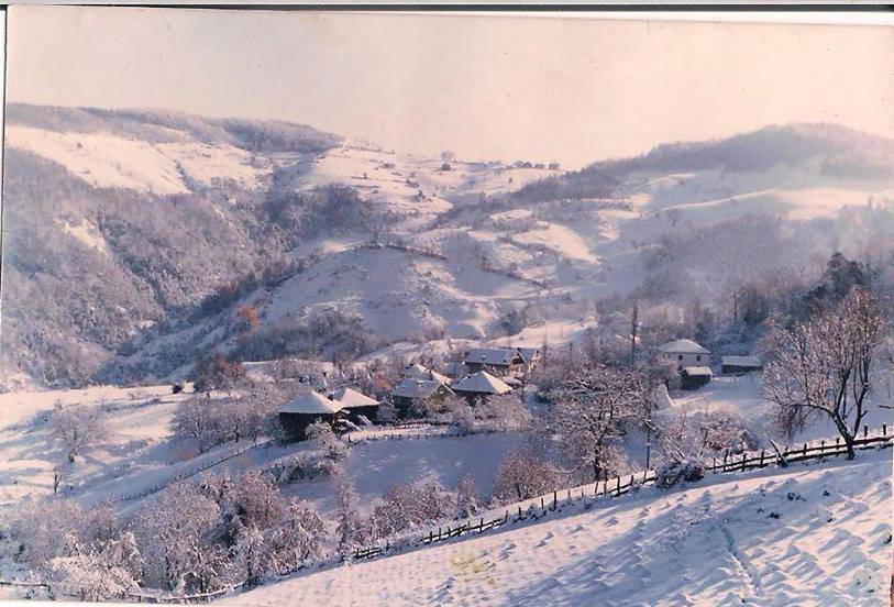 Ayancık Armutluyazı Köyü Resimleri 4