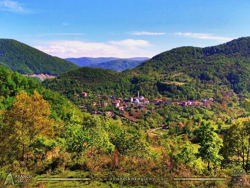 Ayancık Aşağıköy Köyü Resimleri 10