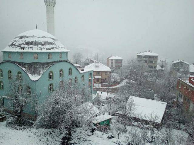 Ayancık Aşağıköy Köyü Resimleri 11