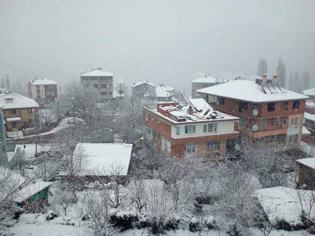 Ayancık Aşağıköy Köyü Resimleri 12