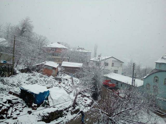 Ayancık Aşağıköy Köyü Resimleri 13