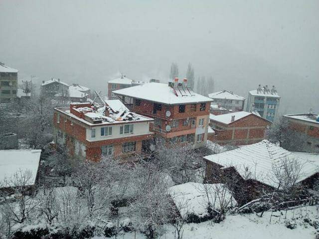 Ayancık Aşağıköy Köyü Resimleri 14