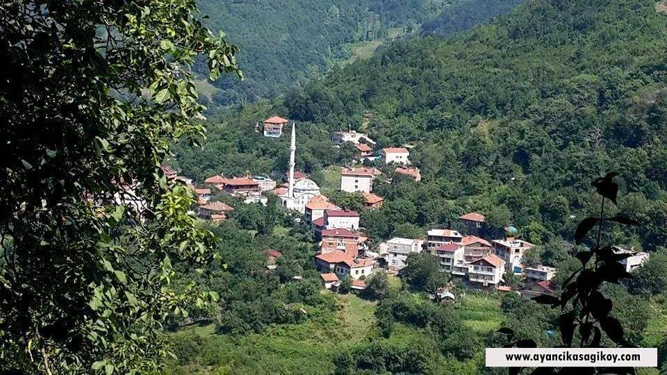 Ayancık Aşağıköy Köyü Resimleri 5
