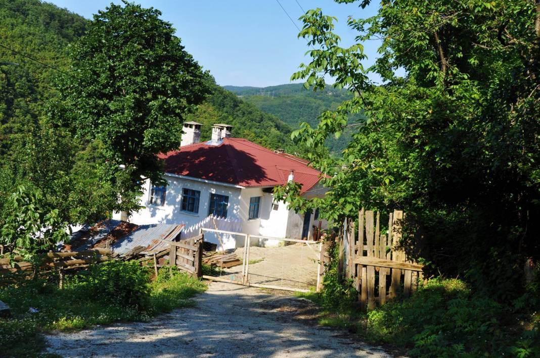 Ayancık Aşağıköy Köyü Resimleri 7