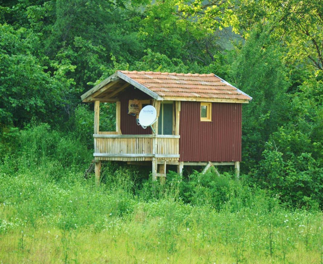 Ayancık Aşağıköy Köyü Resimleri 8