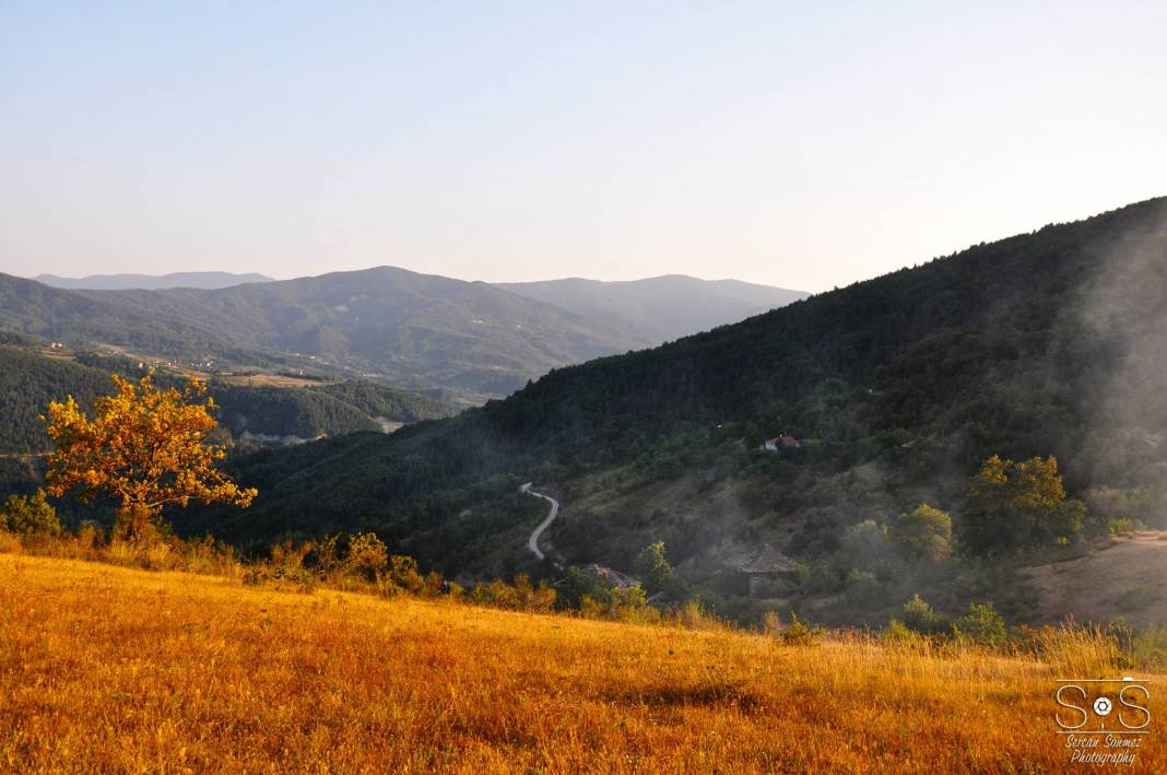 Ayancık Aşağıköy Köyü Resimleri 9