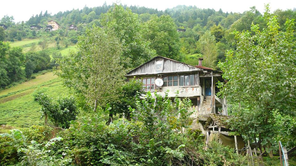 Çamlıhemşin Yukarışimşirli Köyü Resimleri 8