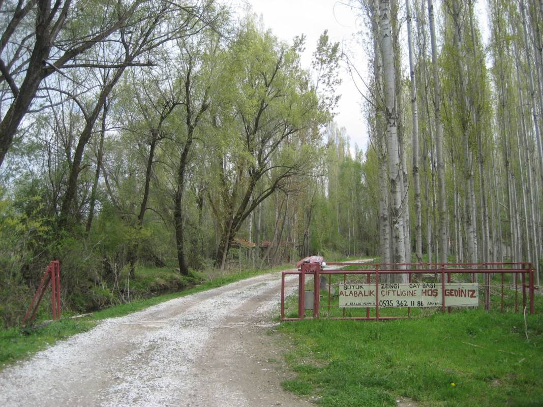 Sarayönü Büyükzengi Köyü Resimleri 3
