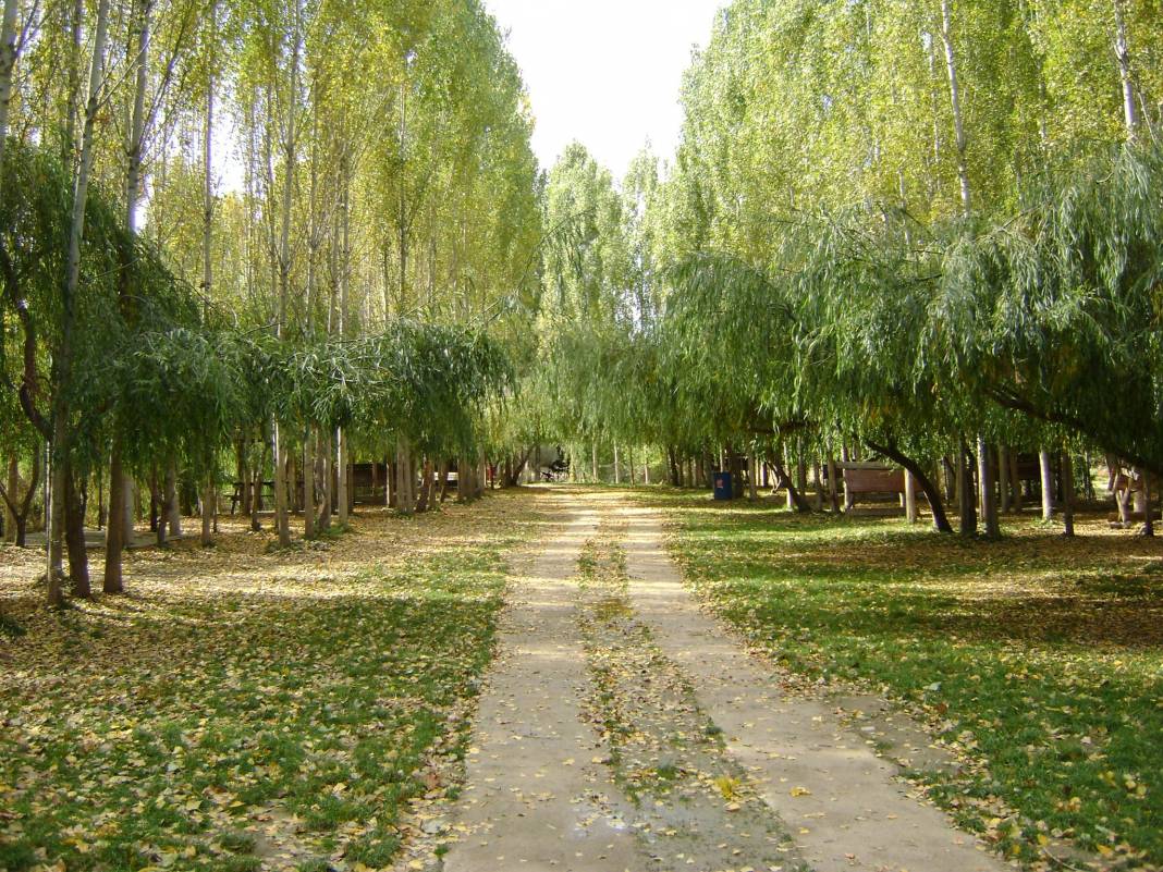 Sarayönü Büyükzengi Köyü Resimleri 4