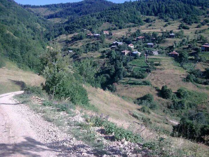 Ayancık Avdullu Köyü Resimleri 1