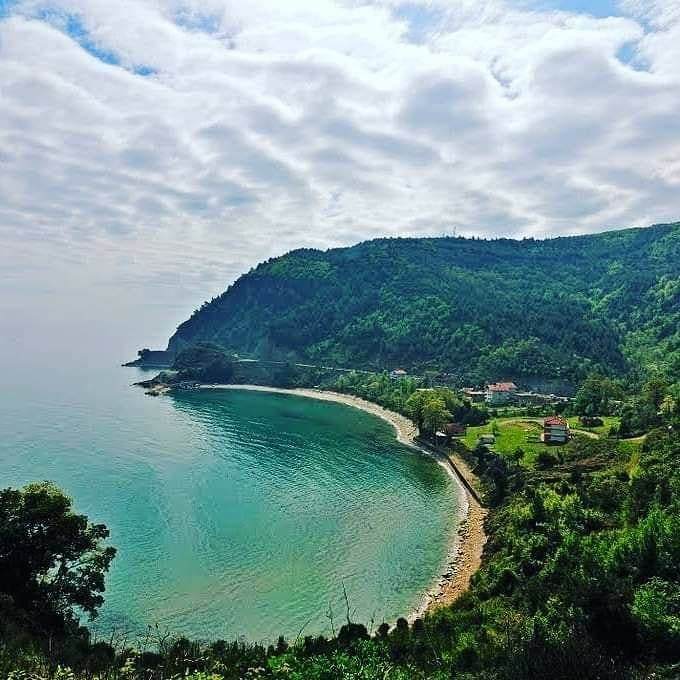 Ayancık Avdullu Köyü Resimleri 10