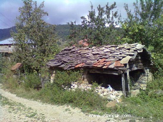 Ayancık Avdullu Köyü Resimleri 2