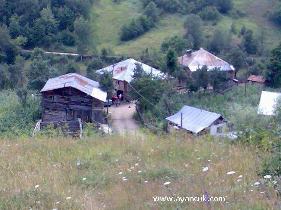 Ayancık Avdullu Köyü Resimleri 3