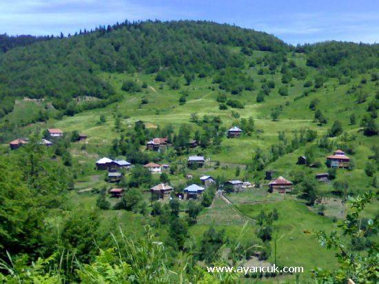 Ayancık Avdullu Köyü Resimleri 4