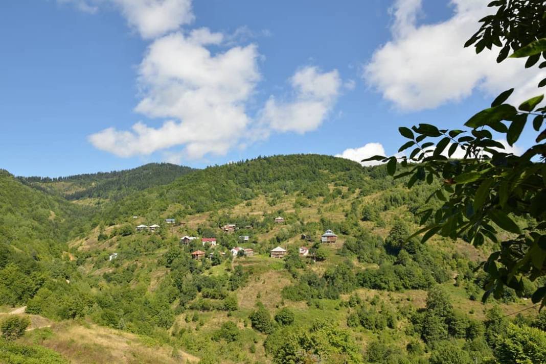 Ayancık Avdullu Köyü Resimleri 6