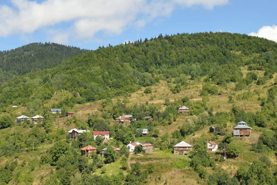 Ayancık Avdullu Köyü Resimleri 7