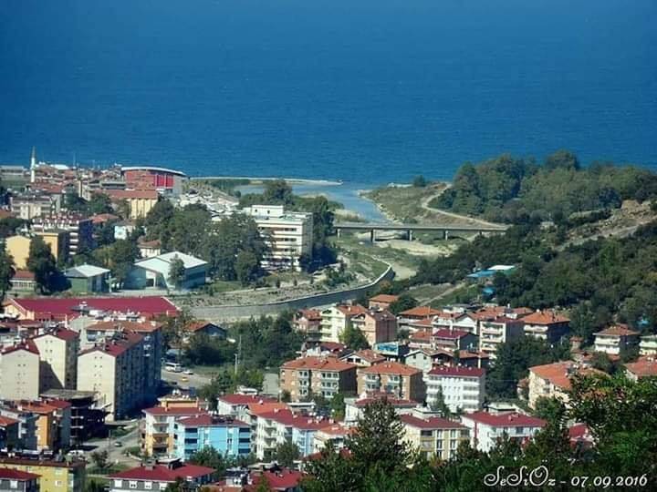 Ayancık Avdullu Köyü Resimleri 8