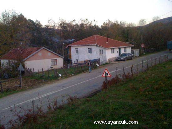 Ayancık Aygördü Köyü Resimleri 1