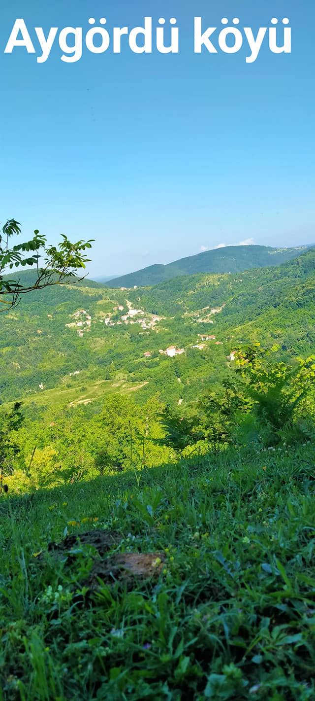 Ayancık Aygördü Köyü Resimleri 11
