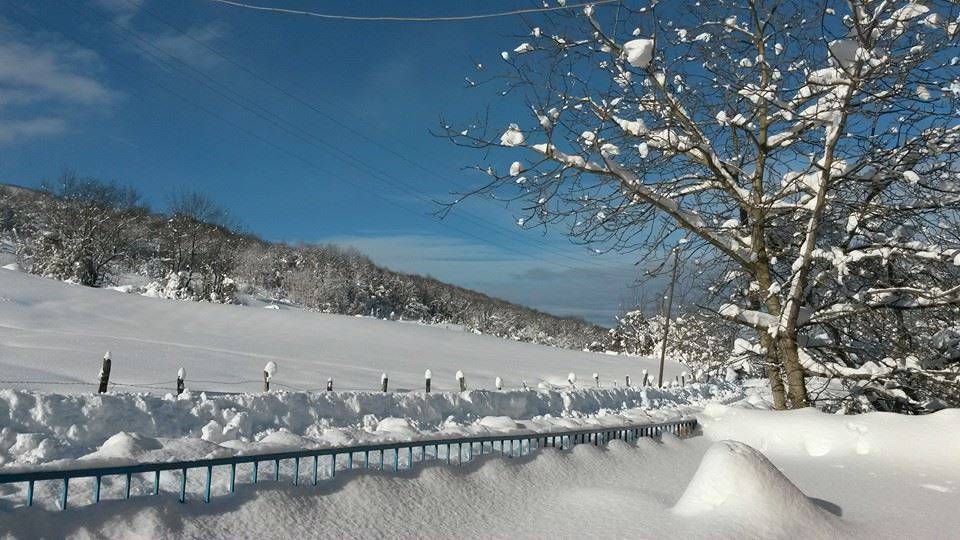 Ayancık Aygördü Köyü Resimleri 2