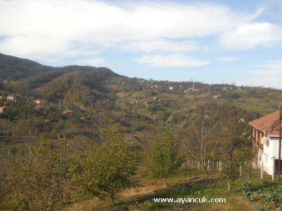 Ayancık Aygördü Köyü Resimleri 4