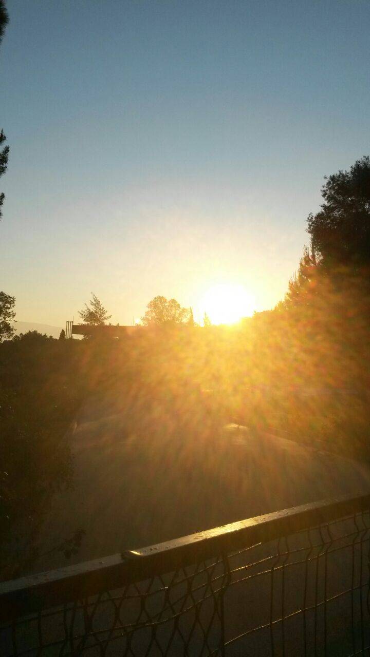 Ayancık Aygördü Köyü Resimleri 6