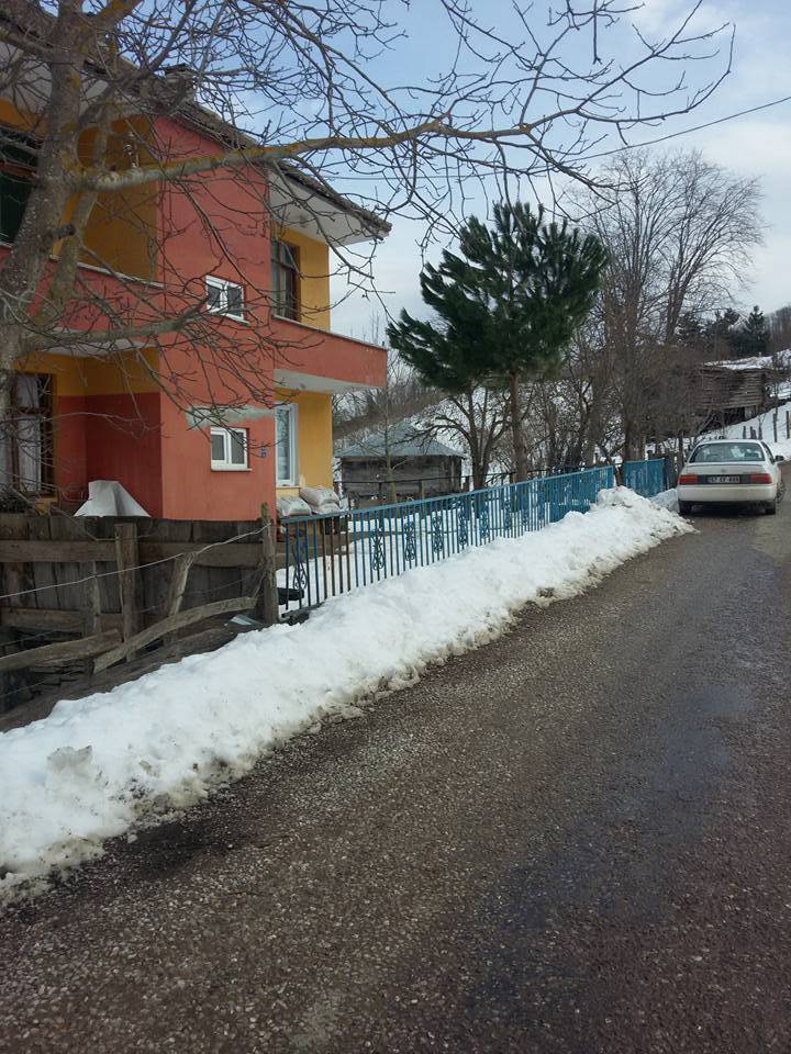 Ayancık Aygördü Köyü Resimleri 9