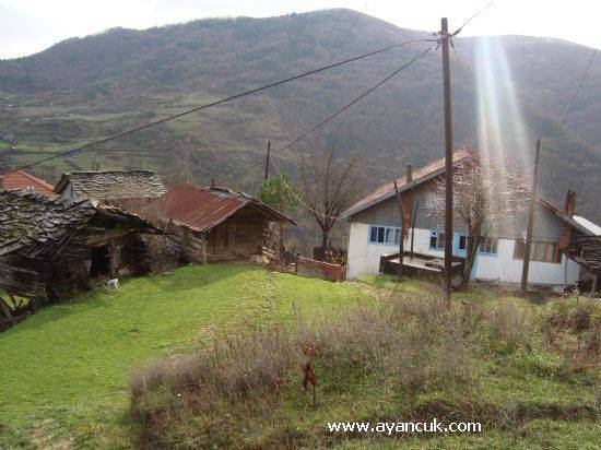 Ayancık Babaçay Köyü Resimleri 7
