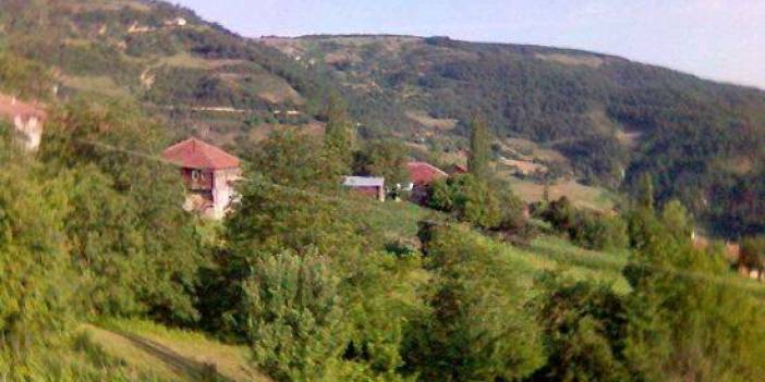 Ayancık Babaçay Köyü Resimleri